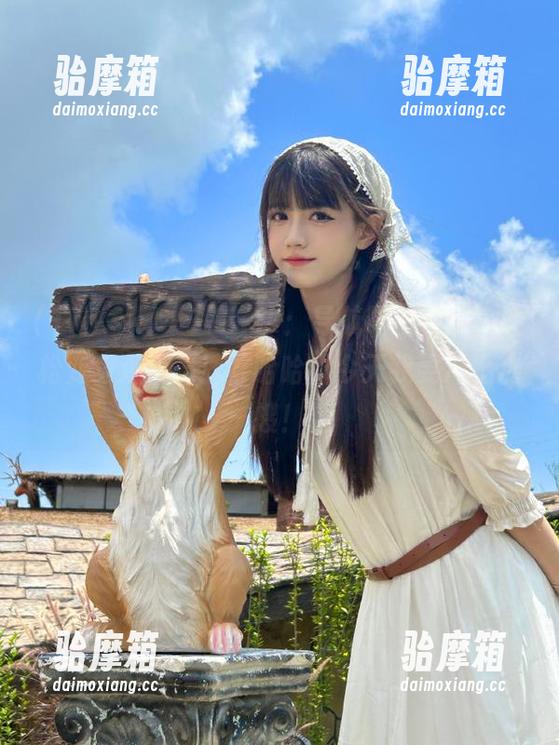 178.sk “178.sk:导航喝茶吃瓜,轻松变身观察员!”哈哈,今天我要冲上热搜!