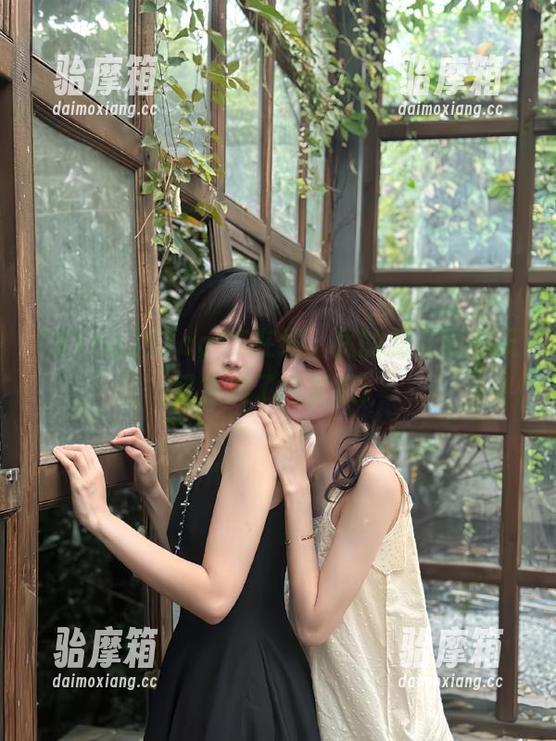51cg 51cg55在线,我的朋友圈今天又充满了老黄瓜!