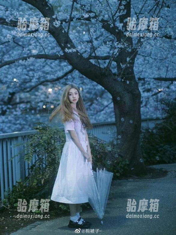 51com 爱吃瓜的导航小助手,51com带你飞!