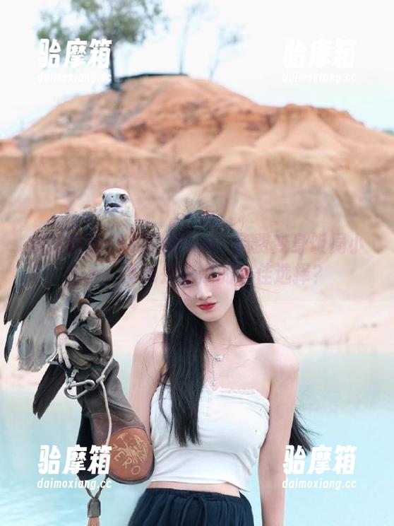 51吃瓜fun：免费变身饭局小达人，真的是吃瓜的最佳选择？