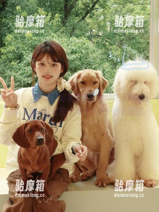 如果只靠下载cn1.91cg.com，也许能记住一两个八卦…你们懂的。