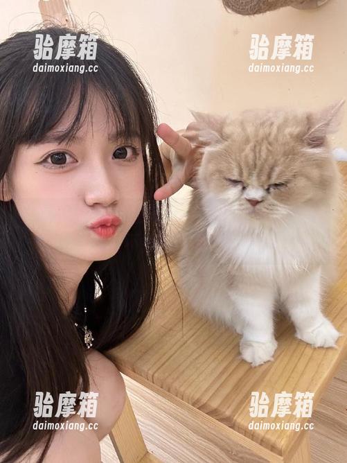 首页翻车现场，91吃瓜趣爆料明星们不得不说的十件事！