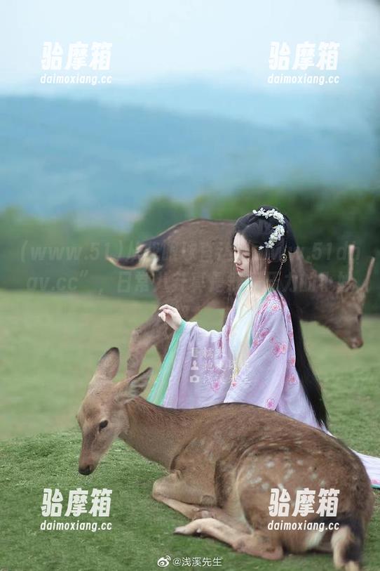 从我眼球直达“www.51dhav.cc”，日常八卦真是舒缓压力的小妙招。
