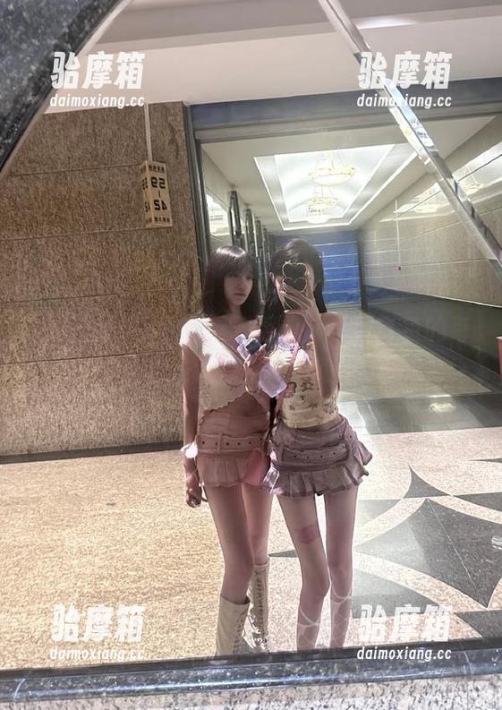 冲哥黑料手机版，折耳鱼的每日一冲和线路浪潮，你跟上了吗？