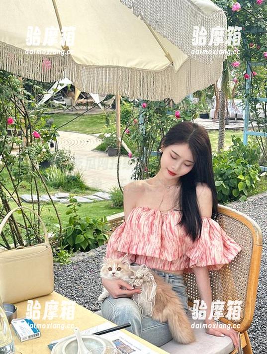 吃瓜网持续在线，视频切换882种，乐趣无穷！